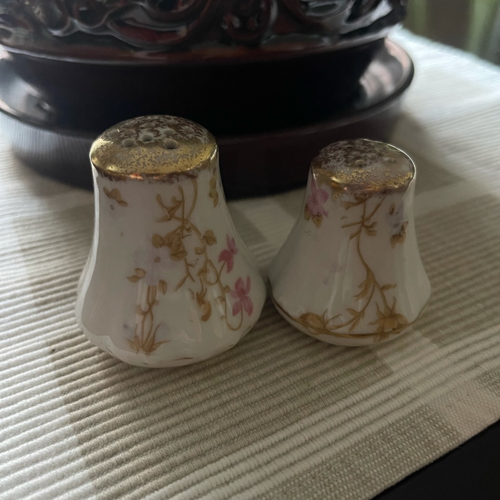 Limoges France Vine Floral Salt & Pepper Shaker